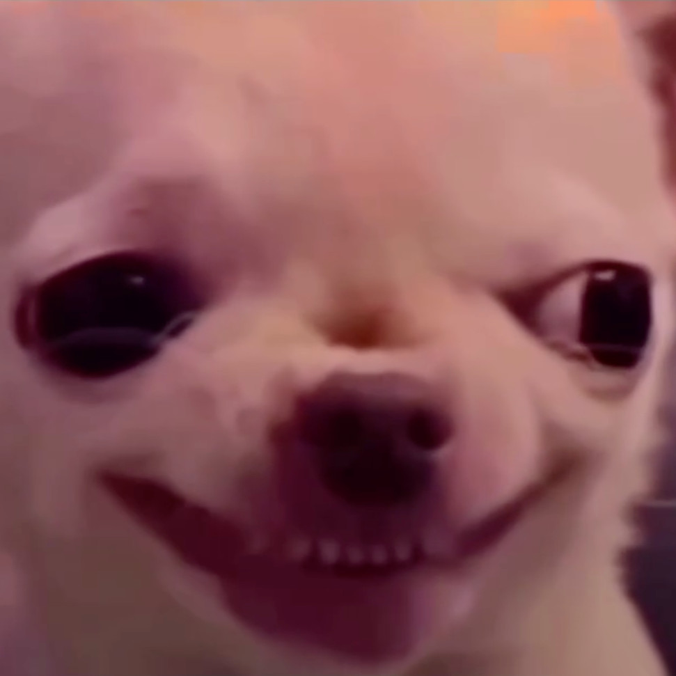 Evil Dog